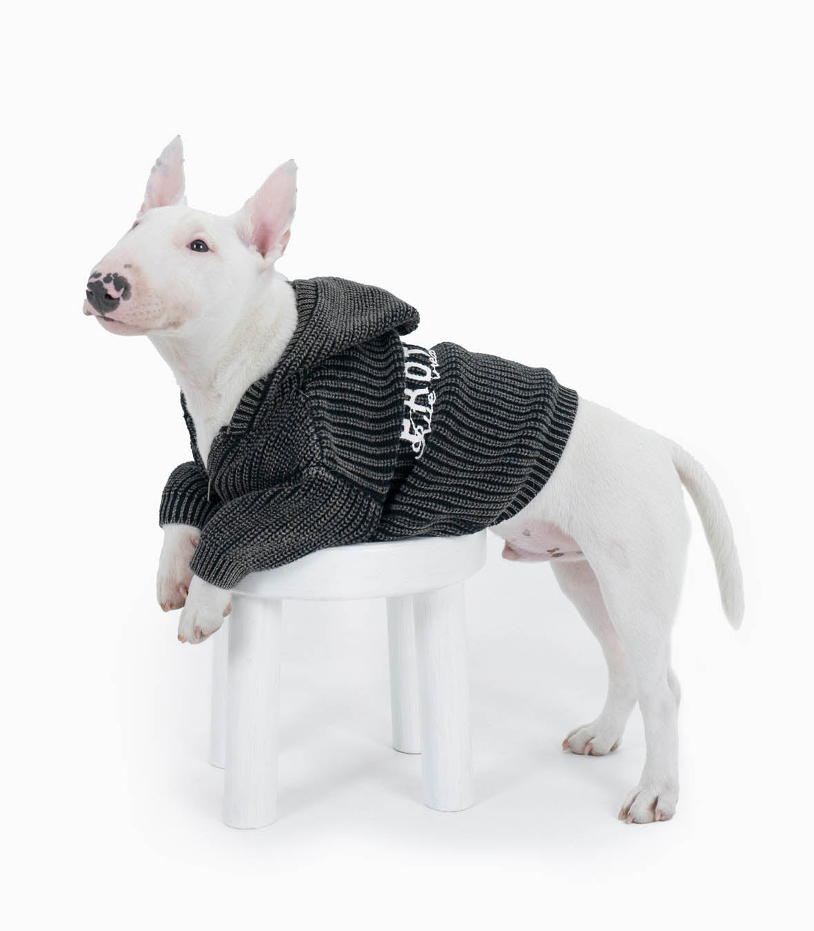 Human & Pet Hoodie Set