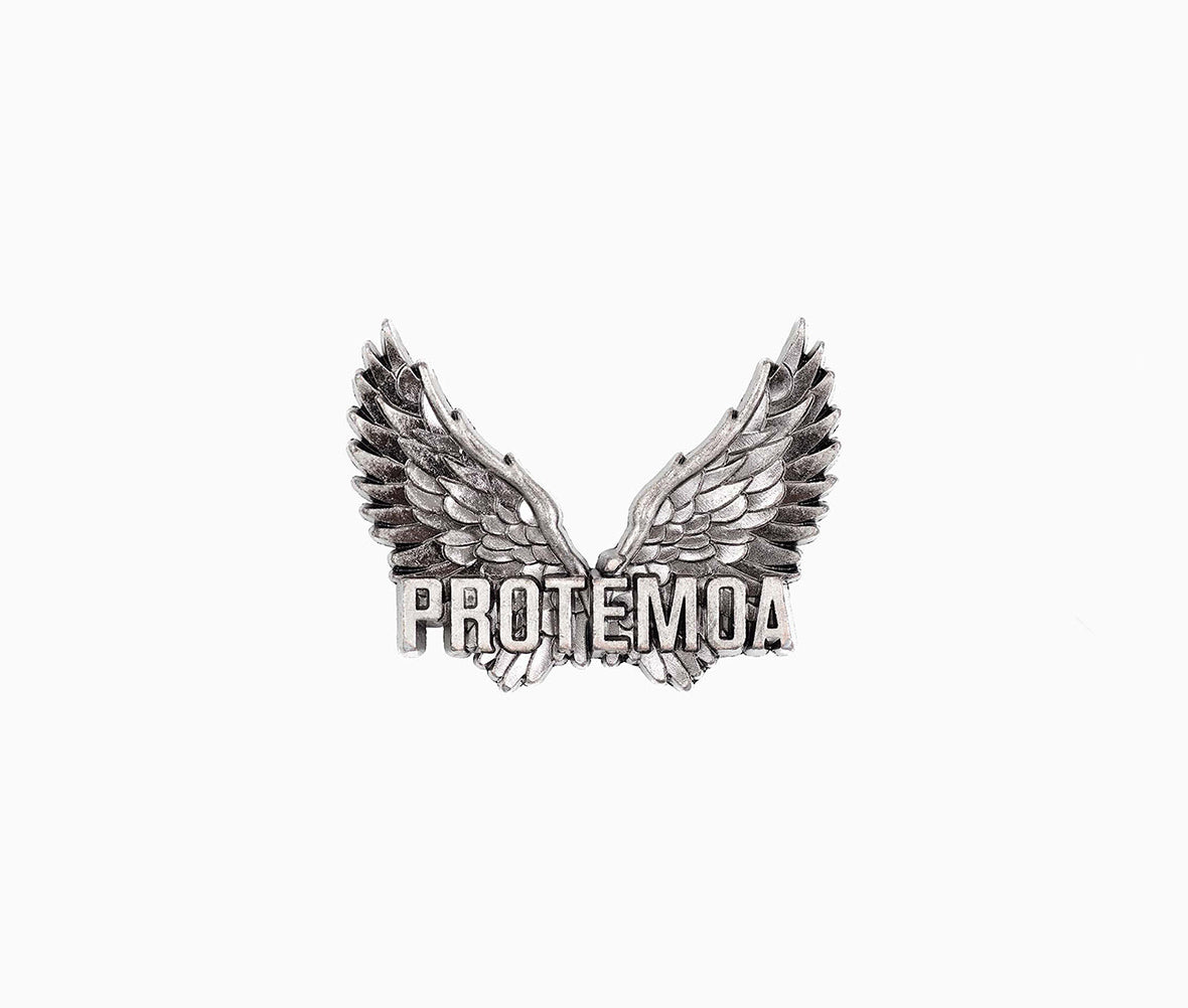 Angel Wings Pin