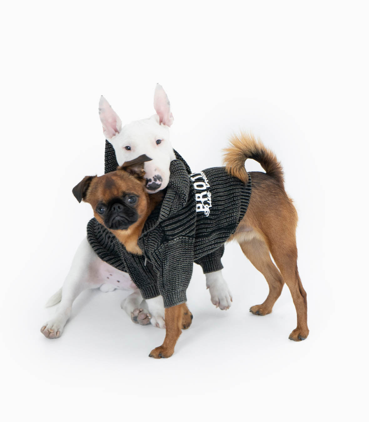 Human & Pet Hoodie Set