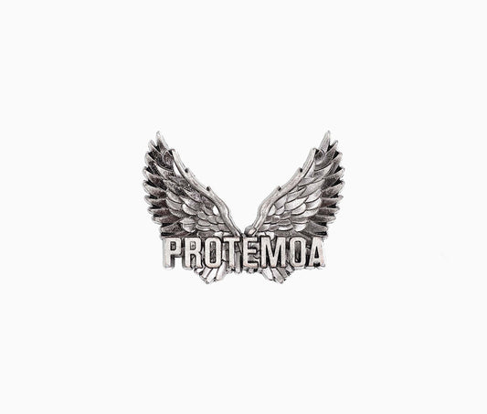 Angel Wings Pin