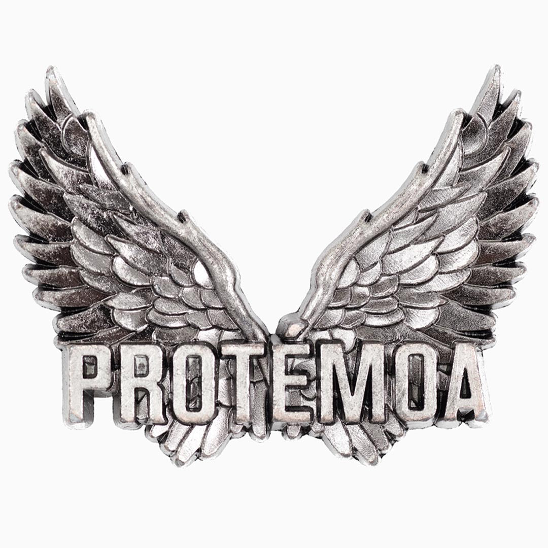 ANGEL WINGS